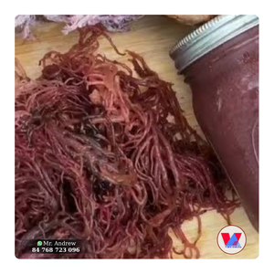 HOT SELLING Natural Reddish Brown Sea <b>Moss</b> Dry Eucheuma Seaweed Sustainable Crop For Extraction Food Grade Powder - Product Image 1