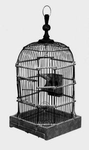 Jaula de Cría para Pájaros, para Canarios y Periquitos - Product Image 3