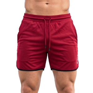 Shorts de plage en mesh pour hommes, shorts de fitness légers en mesh pour hommes, shorts de basket-ball à séchage rapide en mesh pour hommes - Product Image 1