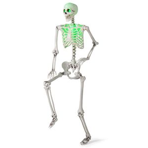 Scheletro di Halloween a grandezza naturale da 1,67 m, pieghevole, per decorazioni interne ed esterne - Product Image 1