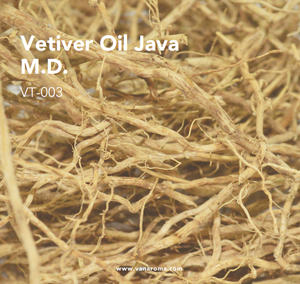 Aceite Esencial de Vetiver Java M.D. (VT-003) Aroma para Vehículos - Product Image 2