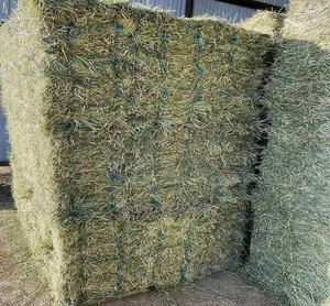 Heno de Alfalfa Premium, Pacas de Alfalfa y Trébol, Grado Alimenticio para Ganado, Caballos y Perros, 100% Natural, Alto Contenido de Proteínas, 2% de Humedad, 25 kg/saco - Product Image 6