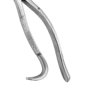 ARISTON INTERNATIONAL Pinzas de Extracción de Molares Inferiores de Calidad Duradera, con Mangos Serrados, Agarre Ergonómico, Acero Inoxidable, Manuales - Product Image 3