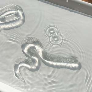 Juguete de Serpiente Transparente de TPR Suave y Elástico, Juguete Sensorial Kawaii de Animales, Antiestrés Unisex para Mayores de 8 y 14 Años - Product Image 5