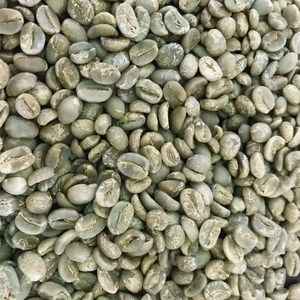 USDA Certified Organic Arabica Green Coffee <b>Beans</b> S16 from Vietnam Factory, Bulk Quantity, ISO22000 Certificate, MOQ Flexible - Product Image 1