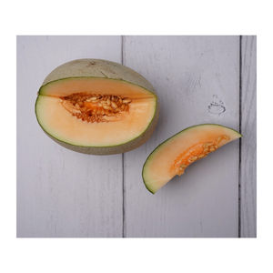 Melón Cantalupo Fresco Premium, Dulce y Jugoso, para Distribución al por Mayor y Mercado de Exportación - Product Image 5