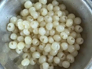 Longan Enlatado Premium en Almíbar Ligero, Listo para Comer, Fruta Tropical para Exportación al por Mayor - Product Image 2