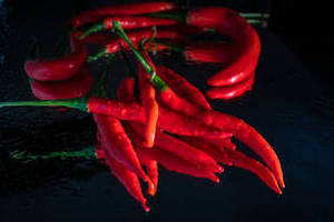 Exportación a Granel de Chile Rojo Entero de Gujarat, India, de FitTree International, para Programas Comerciales de Adquisición de Ingredientes - Product Image 5