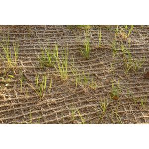 Tissu géotextile en jute SoilSaver Mesh, tissu naturel de lutte contre l'érosion pour la stabilisation des pentes et la construction de levées - Product Image 2