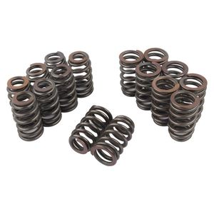 Kit de 16 resortes de válvula de colmena PAC 1218 para sistemas de motor GM LS1 LS2 LS3 LS6 4.8L 5.3L 6.0L 6.2L con elevación de .600 - Product Image 6