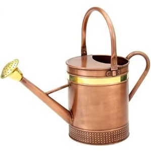 Perfect watering can for indoor <b>plants</b>, flowers, herbs, and succulents Stylish and functional watering can for modern <b>plant</b> care - Product Image 1