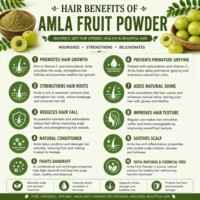 Poudre de fruit d'Amla naturelle 250g, 100% pure, poudre d'Emblica Officinalis riche en nutriments naturels pour le soutien quotidien de la santé