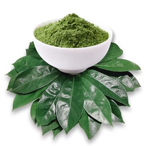 Premium Vietnam Soursop Leaves (Annona Muricata) – Pure Botanical Ingredient with Zero Additives for Global <b>Tea</b> Manufacturers. - Product Image 6