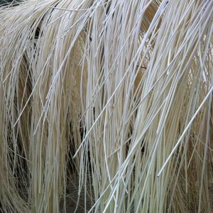 Diffuseur d'arômes artisanal en rotin disponible – Bâtonnets de roseau pour décoration intérieure – Vente en gros Vietnam - Product Image 4