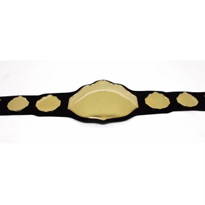 Custom Made New Style Leather Award Belt Adjustable Waist Metal Plate Collectible Wrestling Display Accessory - Product Image 4