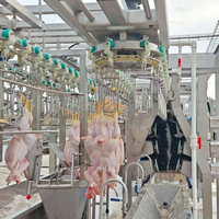 Machine d'abattage pour abattoir de poulets au Vietnam, sans installation requise, bon prix, expédiée en conteneurs de 40 pieds
