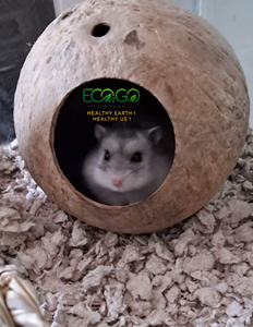 Coco Shell Pet House – Unique Handmade Natural Hideaway for Small Pets & <b>Garden</b> Wildlife Eco2go Vietnam - Product Image 6