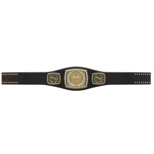 Custom Made Latest Arrival Lightweight Genuine Leather Wrestling Belt with Brass Metal Plates Quick Sports Belts - Product Image 5