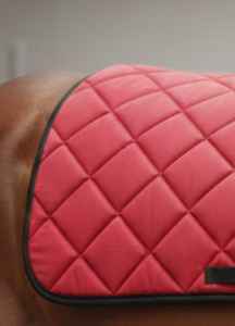 Tapis de selle d'équitation style saut d'obstacles Rub International en coton matelassé personnalisable pour cheval - Product Image 4
