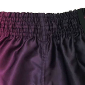 Shorts de Muay Thai de haute qualité, best-sellers, sur mesure, vêtements d'arts martiaux pour hommes, shorts de Muay Thai avec logo personnalisé - Product Image 4