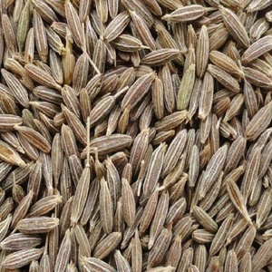 100% บริสุทธิ์ที่มีคุณภาพอาหารเสริมสมุนไพรเมล็ดยี่หร่าราคาขายส่งในประเทศอินเดียผู้ผลิตชั้นนำในอินเดีย - Product Image 1