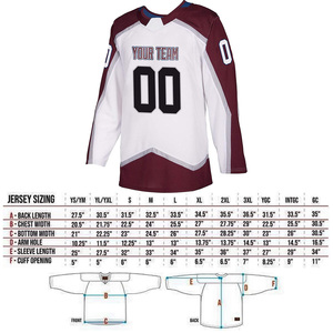 Athletic Fit Printed Ice Hockey Jersey Customizable Team Logo Shirt Breathable Quick Dry Performance Uniform for Ice Hockey - Product Image 6
