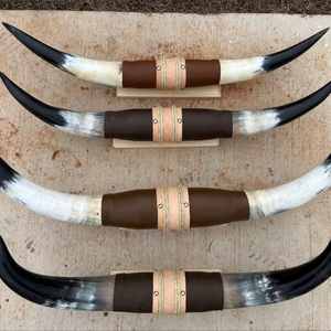 ชุดแตรติดผนัง ทำมือ เป็นมิตรกับสิ่งแวดล้อม สไตล์เรียบง่าย ทันสมัย รักสัตว์ แตรขัดเงา ตกแต่งบ้านสไตล์ตะวันตก สำหรับเทศกาลอีสเตอร์ - Product Image 1