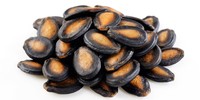 Groothandel Bulk 99% Zuiverheid Gedroogde Watermeloenen voor Volwassenen Gingerly Naturals Merk GMP/ISO Gecertificeerd Verpakte Zakken Geëxporteerd naar Nederland