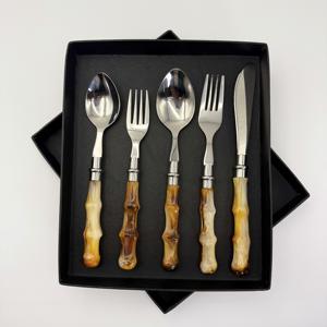 Nuevo Juego de Cubiertos de Acero Inoxidable con Mango de Resina, Diseño Innovador, Juego de Cubiertos para Restaurante - Product Image 1