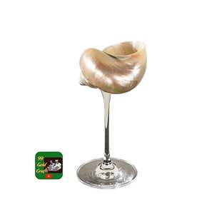 Verre à cocktail artistique en coquille de conque vietnamienne pour l'exposition dans les salons de spa de luxe et les bars des centres de bien-être - Product Image 2