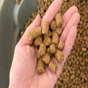 Farine de colza de qualité supérieure, de qualité premium, en provenance de Thaïlande - Utilisations multiples disponibles à la vente - Product Image 3