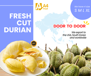 Durian thaïlandais frais Monthong, goût sucré et crémeux, pulpe congelée de Thaïlande, 500g, durée de conservation de 14 jours, approvisionnement en vrac, exportation - Product Image 1