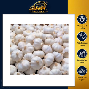 Ail frais de qualité supérieure, bulbes d'ail blancs, arôme naturel pour la cuisine, transformation des épices, approvisionnement en vrac disponible - Product Image 2