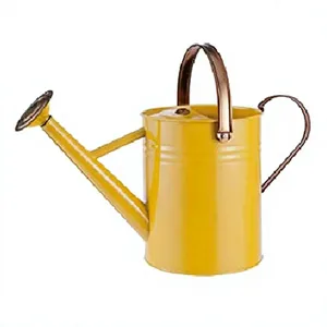 Arrosoir artisanal en métal jaune pour l'entretien des plantes d'intérieur et suspendues, design minimaliste moderne d'Inde - Product Image 1
