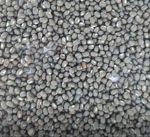 Urad indien biologique entier séché de qualité supérieure, riche en protéines, facile à cuisiner, gramme de type split, 30 kg, approvisionnement en vrac, nouvelle récolte - Product Image 2