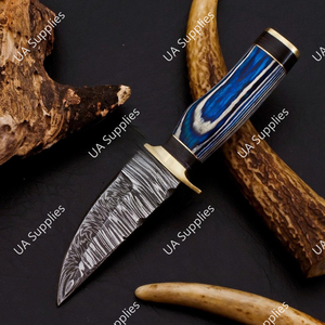 Razor Sharp Damascus Steel Fixed Drop Point EDC Knife Blue Pakka Wood Handle Brass Guard Premium OEM/ODM Skinner Camping Knife - Product Image 2