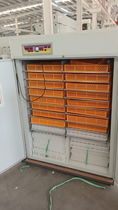 Máy ấp trứng gà 3168 điện HJ-IH3168 ấp trứng - Product Image 3