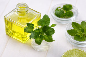 PREMIUM QUALITY PEPPERMINT <b>OIL</b> / ORGANIC NATURAL <b>ESSENTIAL</b> <b>OIL</b> FOR SPA AND PERSONAL CARE PRODUCTS/ MS. ALINA - Product Image 5