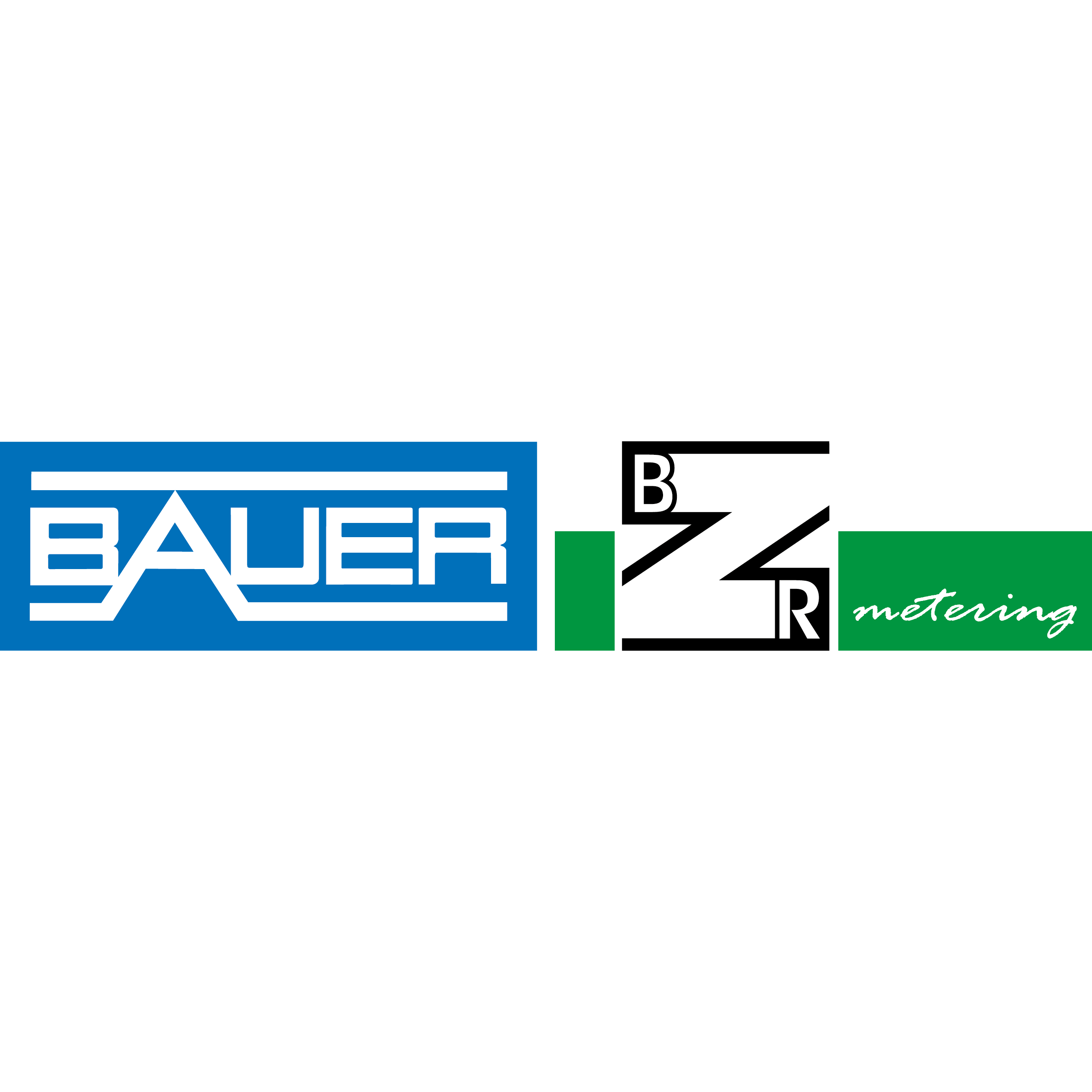 Gebr. BAUER GBR - Bayerische Zählerrevision logo