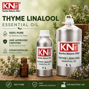 Huile Essentielle de Thym Linalol 100% Pure de Qualité Supérieure, Certifiée Biologique, Thymus vulgaris ct linalool, Fabricant en Gros, Exportateur Mondial - Product Image 2