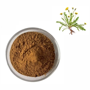 ผงรากดอกแดนดิไลออนขายดีที่สุด 100% ผงแท้จากธรรมชาติ Taraxacum Officinale สำหรับชาสมุนไพรและเสริมสุขภาพจากอินเดีย - Product Image 1