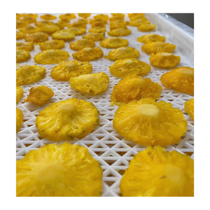 Ananas séché tropical moelleux au goût naturellement sucré et à prix de gros compétitifs pour les acheteurs mondiaux - Product Image 4
