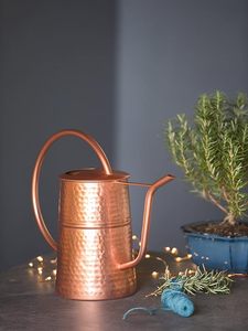 Premium Brass Watering Can Luxury Indoor <b>Gardening</b> EquipmentModern Minimalist Iron Watering Can for Indoor Plant Lovers Stylish - Product Image 2