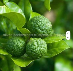 Natural Lemon Essential <b>Oil</b> for Aromatherapy For <b>diffuser</b> and spa applications At Low price Lemon Essential <b>Oil</b> - Product Image 2