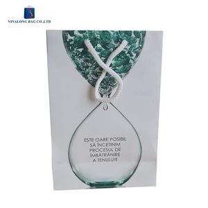 Bolsas de Papel con Logotipo Personalizado al por Mayor, Fabricante OEM para Aplicaciones Minoristas y Profesionales - Product Image 2