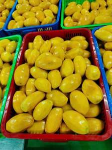 มะม่วงแช่แข็ง IQF ธรรมชาติ สำหรับสมูทตี้ ไอศกรีม และเบเกอรี่ - Product Image 3