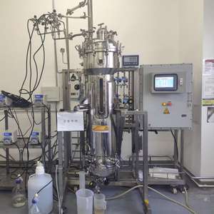 Bailun 15L lab scale Stainless Steel airlift Bioreactor <b>fermenter</b> Suitable for a wide range of biological - Product Image 5