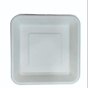 Plateau alimentaire 1D écologique en bagasse, jetable, en pulpe de canne à sucre, biodégradable, pour la vente à emporter et la restauration - Product Image 2