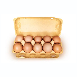Œufs de poulet bio blancs de ferme, vente directe à bas prix, œufs de poulet de chair à vendre - Product Image 5