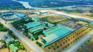 กาแฟสำเร็จรูปชนิดผงขายส่งแบบสเปรย์ดราย โรบัสต้า สารสกัดกาแฟละลายน้ำได้ คาเฟอีนสูง เอสเพรสโซสีดำ - Product Image 3